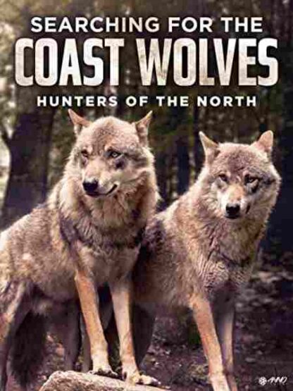 Searching for the Coast Wolves (2006) with English Subtitles on DVD - Image 2