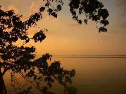 Secrets of Wild India (2012) Starring David Attenborough on DVD - Image 2