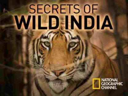 Secrets of Wild India (2012) Starring David Attenborough on DVD - Image 5
