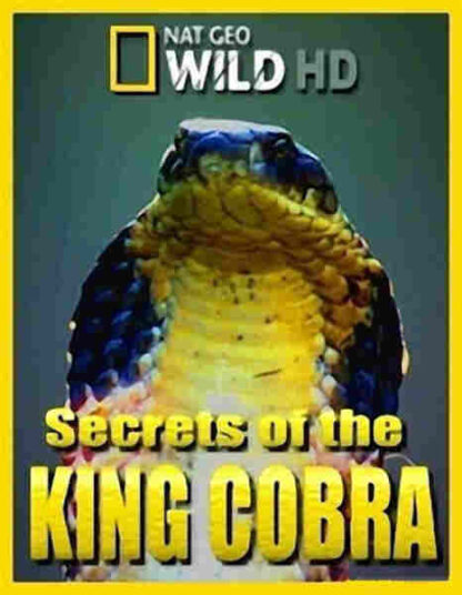 Secrets of the King Cobra (2010) Starring  on DVD - Image 3