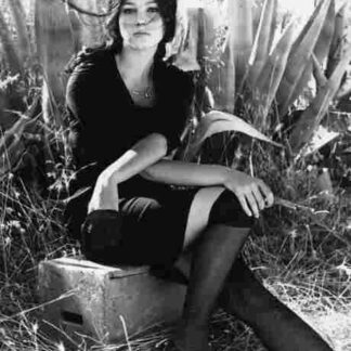 Seduced and Abandoned (1964) with English Subtitles on DVD