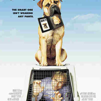 See Spot Run (2001) Starring David Arquette on DVD