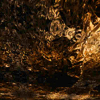 Seeking the Monkey King (2011) Starring  on DVD