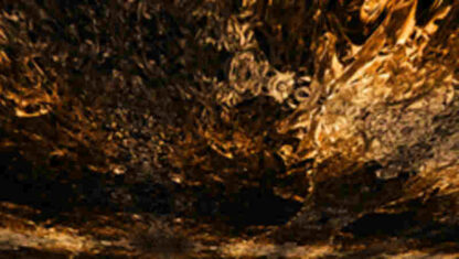 Seeking the Monkey King (2011) Starring  on DVD