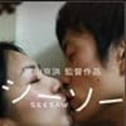 Seesaw (2010) with English Subtitles on DVD