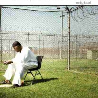 Serving Life (2011) with English Subtitles on DVD