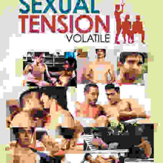Sexual Tension: Volatile (2012) with English Subtitles on DVD