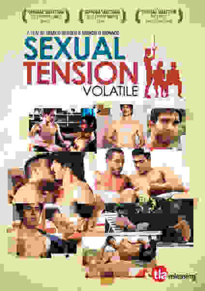 Sexual Tension: Volatile (2012) with English Subtitles on DVD