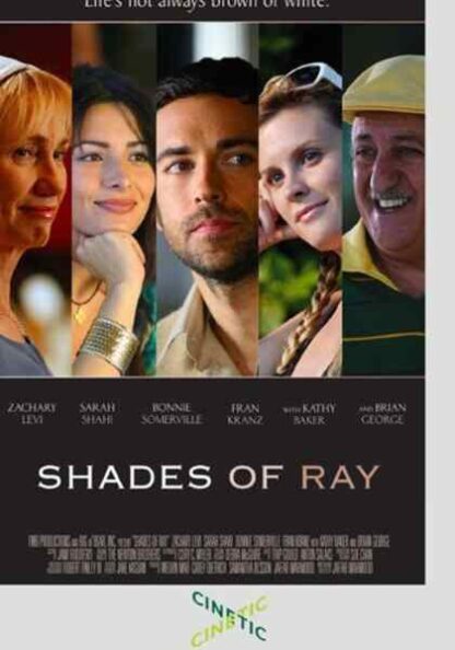 Shades of Ray (2008) Starring Zachary Levi on DVD - Image 3