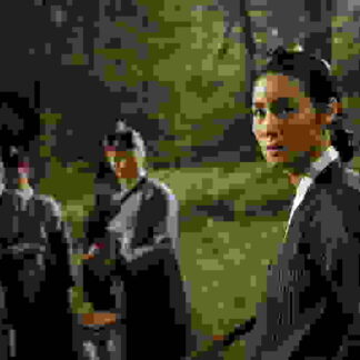 Shadows in the Palace (2007) with English Subtitles on DVD