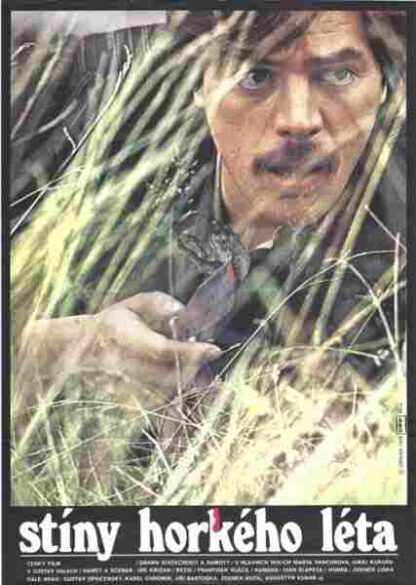 Shadows of a Hot Summer (1978) with English Subtitles on DVD