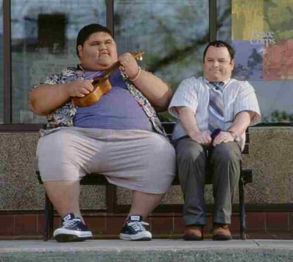 Shallow Hal (2001) Starring Jack Black on DVD