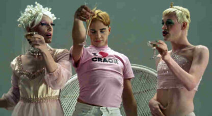 Shampoo Horns (1998) Starring Langley Lamark on DVD - Image 3