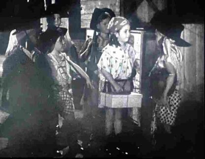 Shiver My Timbers (1931) Starring Sherwood Bailey on DVD - Image 3