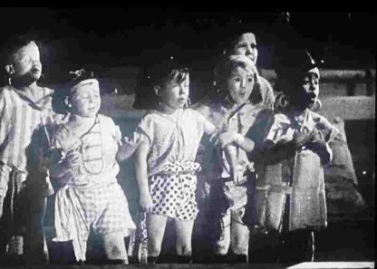 Shiver My Timbers (1931) Starring Sherwood Bailey on DVD - Image 4