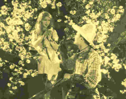 Shooting Stars (1928) Starring Annette Benson on DVD - Image 2