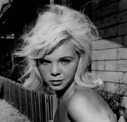 Shotgun Wedding (1963) Starring J. Pat O'Malley on DVD - Image 4