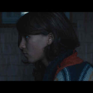 Simon Killer (2012) Starring Brady Corbet on DVD