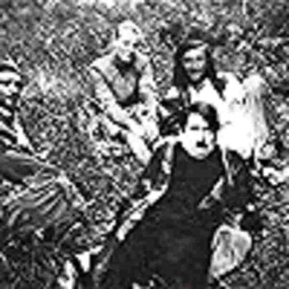 Sitting on a Branch, Enjoying Myself (1989) with English Subtitles on DVD - Image 2