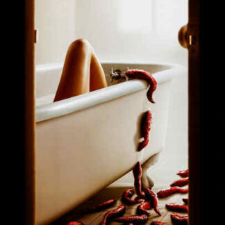 Slither (2006) Starring Don Thompson on DVD