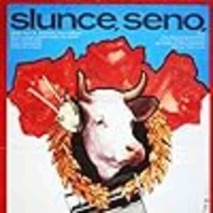 Slunce, seno, jahody (1984) with English Subtitles on DVD - Image 2