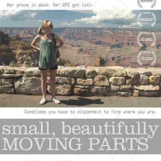 Small, Beautifully Moving Parts (2011) Starring Anna Margaret Hollyman on DVD