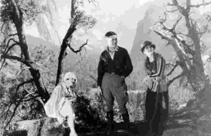 Smouldering Fires (1925) with English Subtitles on DVD - Image 2