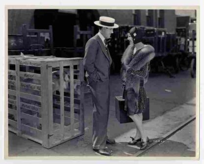Snappy Sneezer (1929) Starring Charley Chase on DVD - Image 2