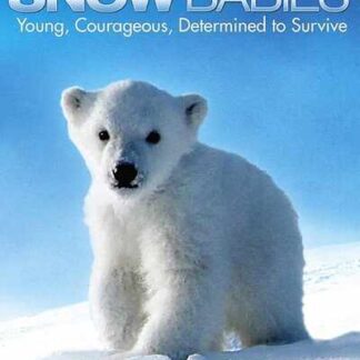 Snow Babies (2012) Starring Nancy Giles on DVD