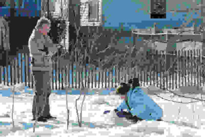 Snow Cake (2006) Starring Alan Rickman on DVD - Image 3
