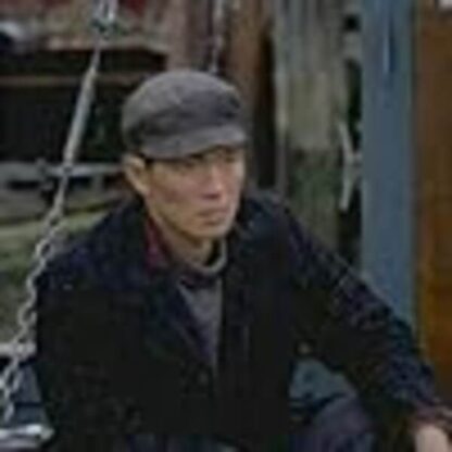 Snow Falling on Cedars (1999) Starring Ethan Hawke on DVD