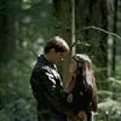 Snow Falling on Cedars (1999) Starring Ethan Hawke on DVD - Image 3