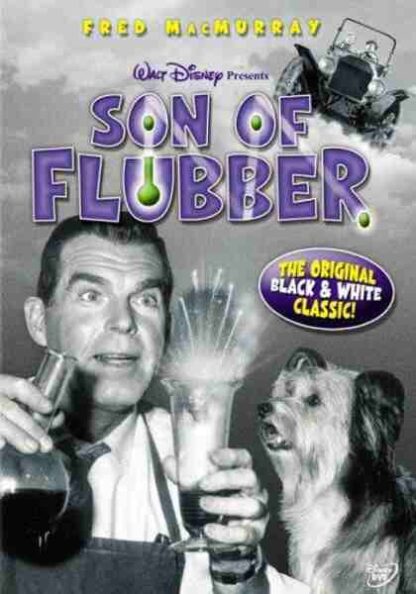 Son of Flubber (1962) Starring Fred MacMurray on DVD - Image 4