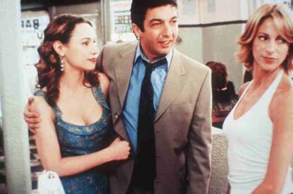 Son of the Bride (2001) with English Subtitles on DVD - Image 4