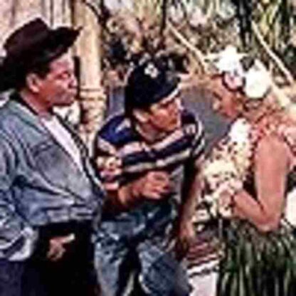 Song of the Islands (1942) Starring Betty Grable on DVD - Image 4