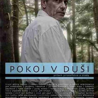 Soul at Peace (2009) with English Subtitles on DVD