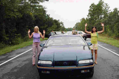 Southern Belles (2005) Starring Anna Faris on DVD - Image 3