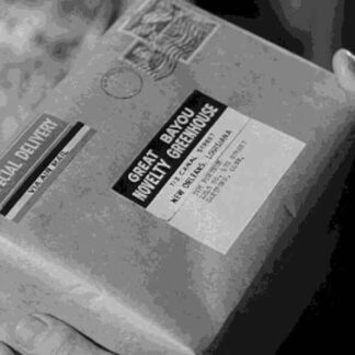 Special Delivery (1959) Starring Alfred Hitchcock on DVD