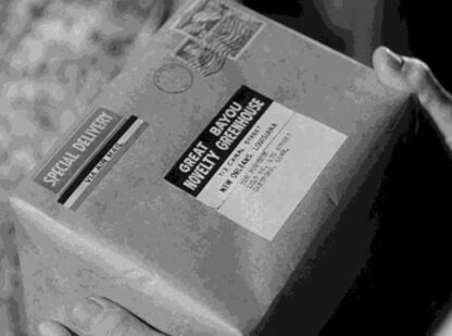 Special Delivery (1959) Starring Alfred Hitchcock on DVD