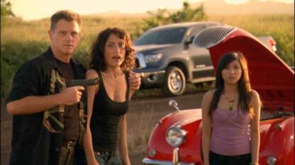 Special Delivery (2008) Starring Lisa Edelstein on DVD - Image 4