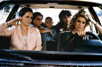 Speriamo che sia femmina (1986) with English Subtitles on DVD - Image 3