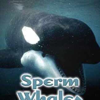Sperm Whales, Dealing with the Unexpected (2005) with English Subtitles on DVD