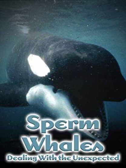 Sperm Whales, Dealing with the Unexpected (2005) with English Subtitles on DVD - Image 2