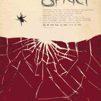 Spider (2007) Starring Nash Edgerton on DVD