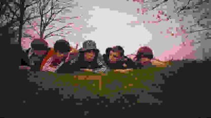 Spike Island (2012) Starring Elliott Tittensor on DVD