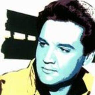 Spinout (1966) Starring Elvis Presley on DVD