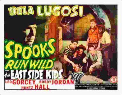 Spooks Run Wild (1941) Starring Bela Lugosi on DVD - Image 4