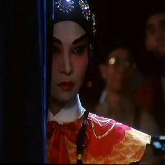Stage Door (1996) with English Subtitles on DVD