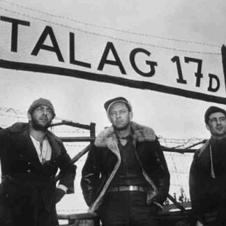 Stalag 17 (1953) Starring William Holden on DVD