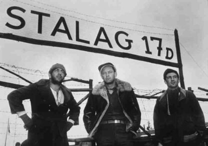 Stalag 17 (1953) Starring William Holden on DVD